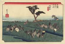 Nos prestations sur le secteur de Avignon 84000 dans le Vaucluse