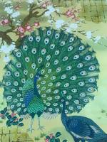 Nos prestations sur le secteur de Avignon 84000 dans le Vaucluse