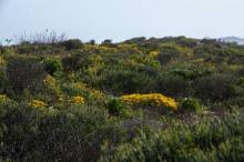 Notre zone d'activité pour ce service Vente de tissus traditionnels et papiers japonais